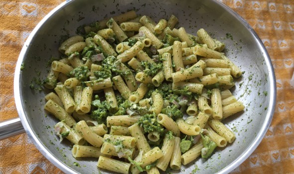 Rigatoni al rigatino sul broccolo in habanero